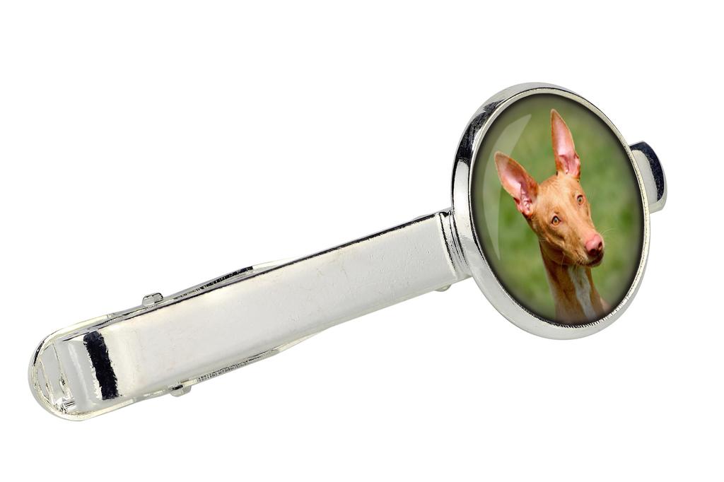 Pharaoh Hound, Kelb tal-Fenek - tie clip in a box, stylish tie, personalized jewelry from the Art-Dog brand
