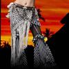 Women Belly Dance Hip Scarf Tribal Belly Dancing Skirt Fringe Belly Dance Hip Scarf Long Tassels Dance Hip Scarf Skirt