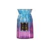 European Glass Vase for Fresh or Dried Flowers - Simple, Creative Home Decor Ornament