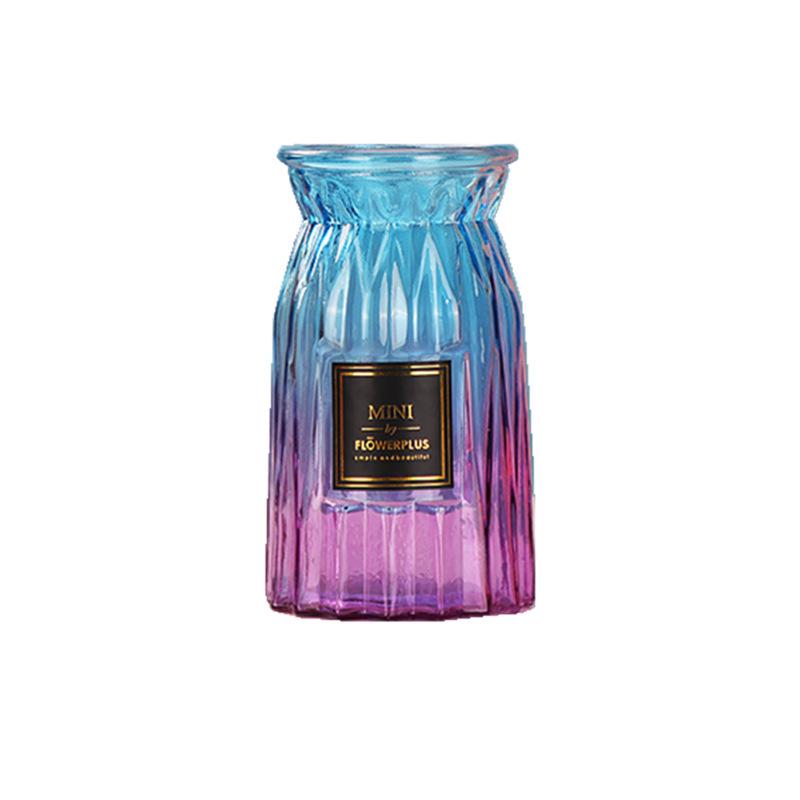 European Glass Vase for Fresh or Dried Flowers - Simple, Creative Home Decor Ornament