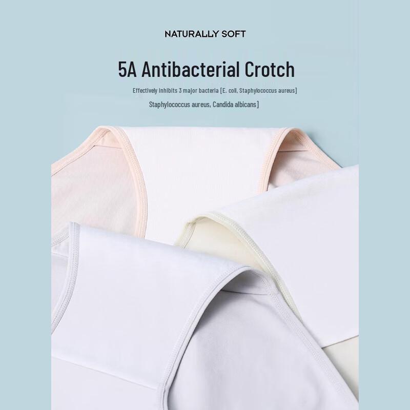 MiiOW Women's Plus Size Cotton Antibacterial Briefs