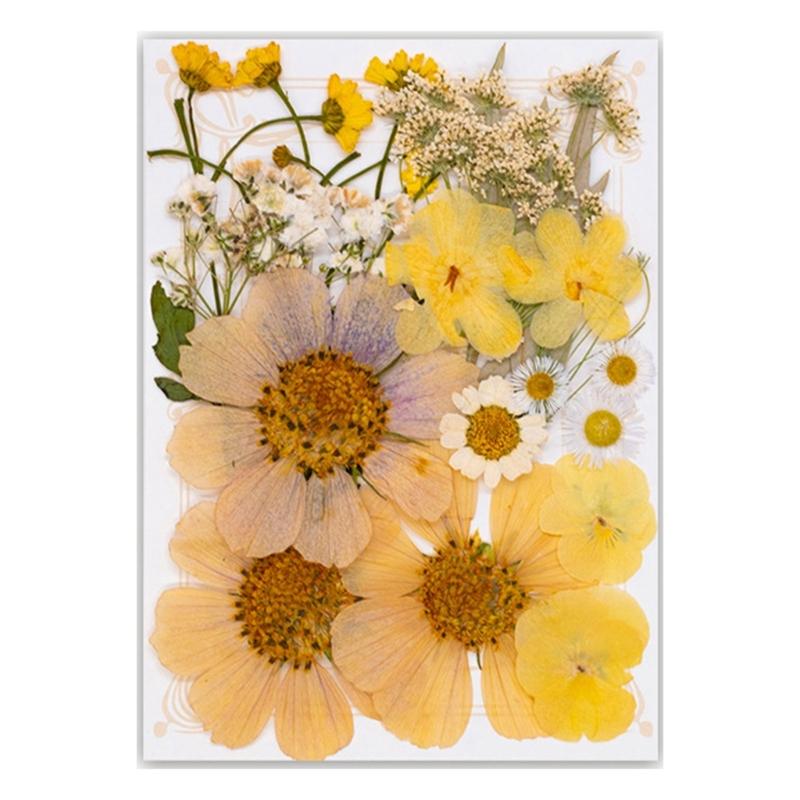 Natural Pressed Dried Flower For Epoxy Resin Dry Flowers and Leaves Set for Soap Candle Jewelry Making Scrapbooking