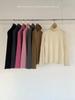 Korean Dongdaemun Women's Spring New Arrival: Versatile Warm Brushed High Neck Base Layer Shirt