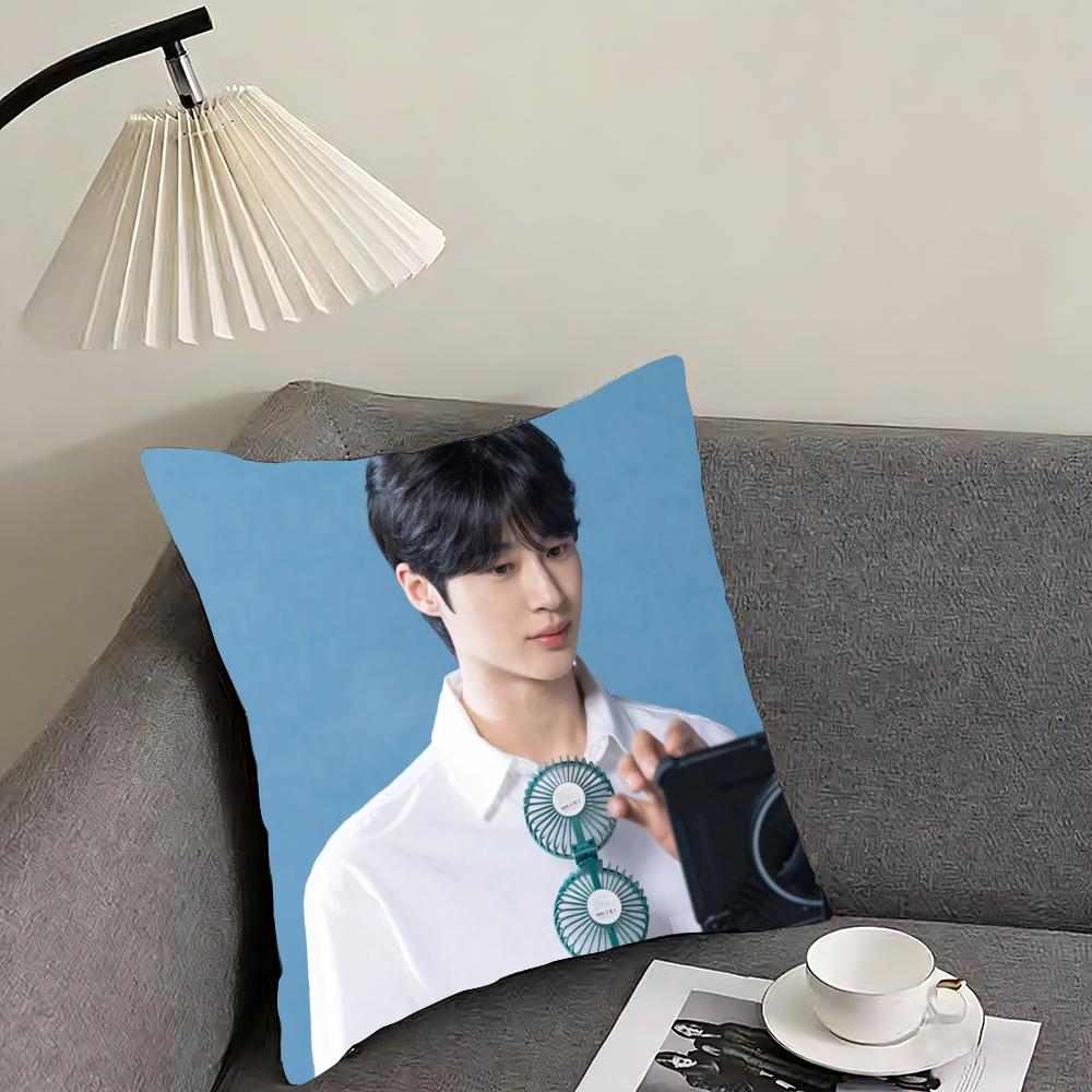 Byeon Woo-seok Cushion Cover Reversible Plush Pillow Cover – For car, sofa, bedroom, perfect as a gift.