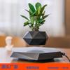Magnetic Levitation Air Bonsai: Unique Floating Plant Pot for Home or Office