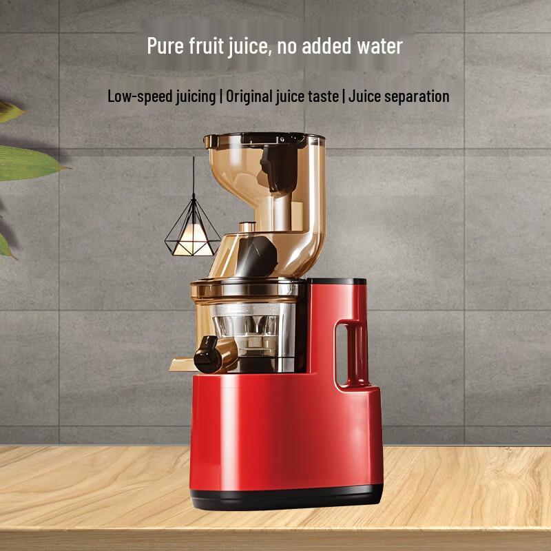 OLOEY Fruit and Vegetable Juicer Blender