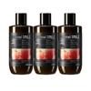 Shimei Grapefruit Iced Lemon Hydrating Body Wash - 3x380ML