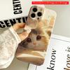 2DFlat Sunlit Calico Cat Resting On Soft Blanket All Inclusive Film Hard iPhone Case, Compatible with iPhone 18 Pro Max 17 16 15 14 13 12 11