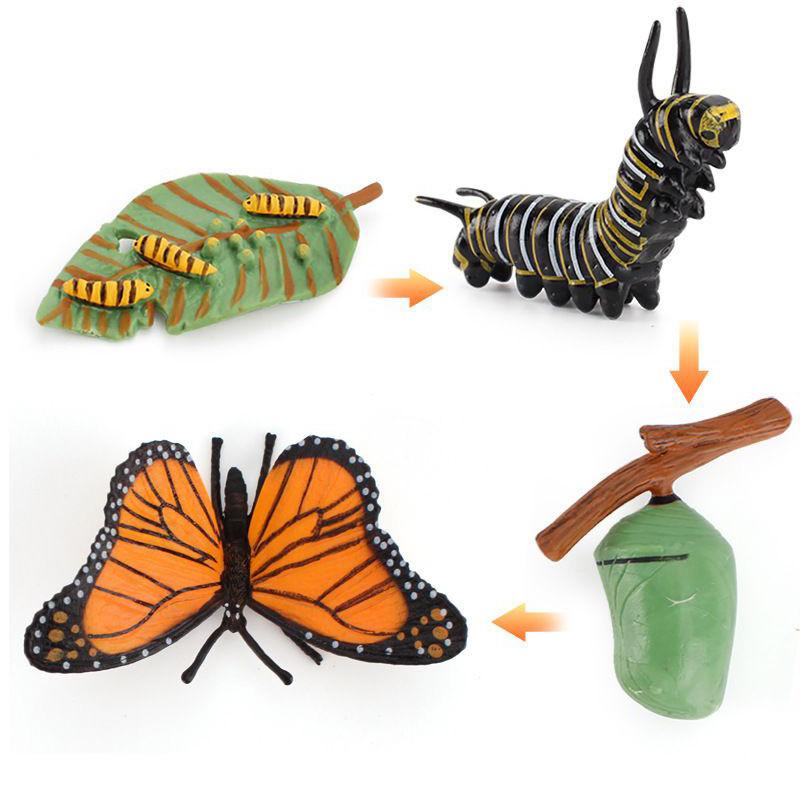 Enchanting Simulation Solid Turtle Chick Frog Animal Growth Cycle Montessori Teaching Aids For Unique Gifts And Decorative Accents