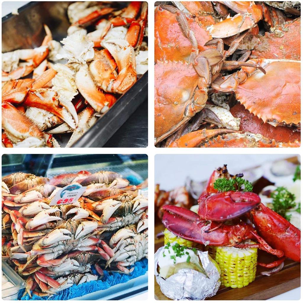 12Pcs Seafood Tools Crab Crackers Nut Cracker Forks Set Opener Shellfish Lobster 12Pcs Seafood Tools Crab Crackers Nut Cracker Forks Set Opener Shellfish Lobster
