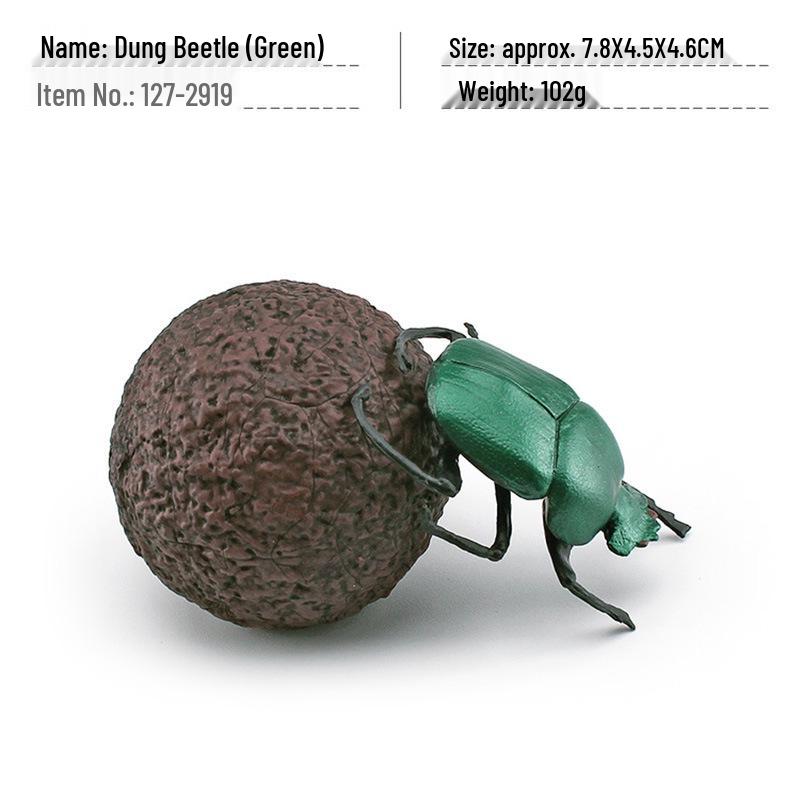Cross-Border Insect Wildlife Dung Beetle Model: Children's Cognitive Sand Table Decoration