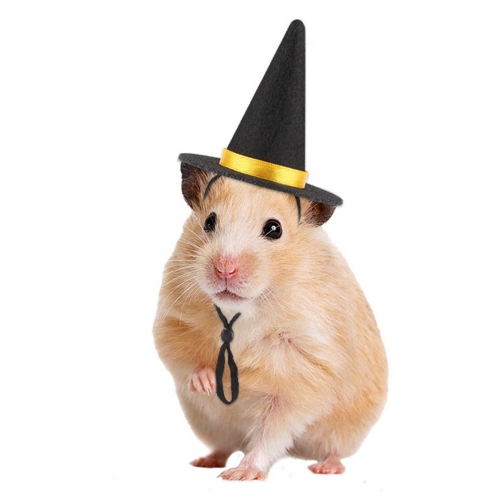 Soft Lizard Witch Costume Set Comfortable Mini Hamster Witch Hats Costume Outfits