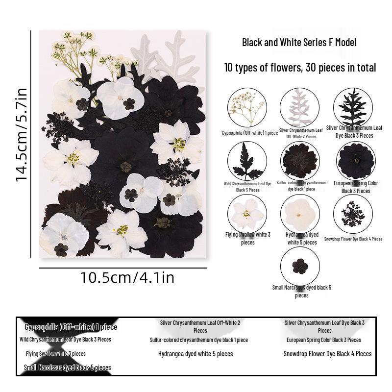 DIY Dried Flower Specimen Sticker Set for Kids: Handmade Pressed Flower Frames & Resin Bookmark Craft Kit