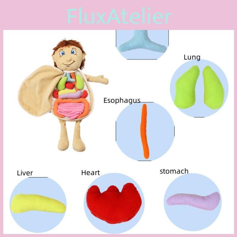 Children Cognitive Human Organ Body Structure Puzzle Plush Early Toys Education