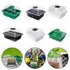 Plastic Plant Shoots Kit Plastic Plant Shoots Kit Shoots Tray