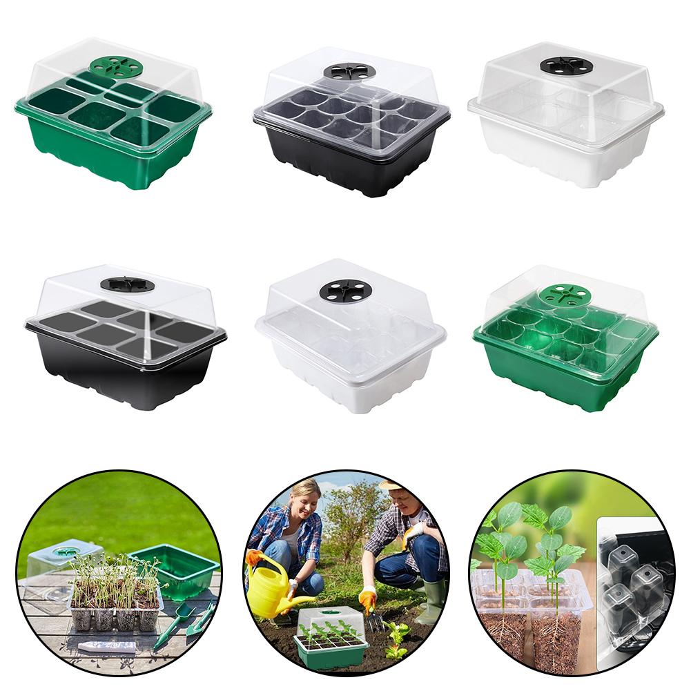 Plastic Plant Shoots Kit Plastic Plant Shoots Kit Shoots Tray