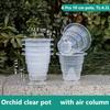Meshpot Home Decoration Clear Orchid Pots with Holes Cattleya Dendrobium Orchid Plants Pot Cachepot In 10cm 12cm 15cm