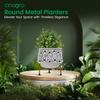 Pots for Plants, Plant Pots for Home Decoration, Succulent Pot, Indoor Planter Garden Decor Style: Botanic Bliss