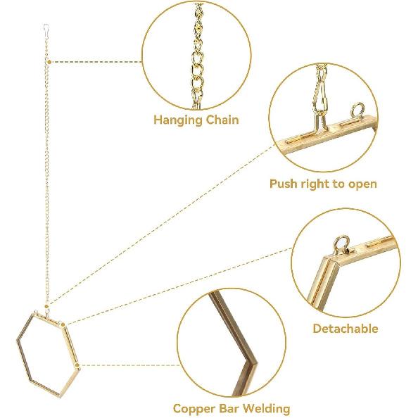 Рамка для прессованных цветов, шестиугольная подвесная настенная плавающая рамка золотая стеклянная рамка для прессованных цветов держатель для экспозиции растительных образцов для лиственных растений