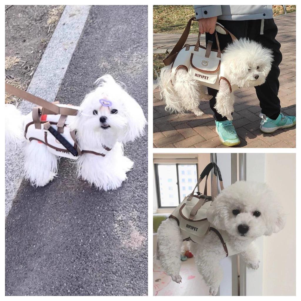Τσάντα Μεταφοράς Κατοικίδιων Ζώων Crossbody Σακίδιο Πλάτης για Σκύλους & Γάτες - Αναπνεύσιμη, Πολυλειτουργική, Σχεδίαση Μονής Επωμίδας