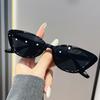 Fashion Sunglasses Polarized UV Protection Cat-eye Horn-rimmed Y2k