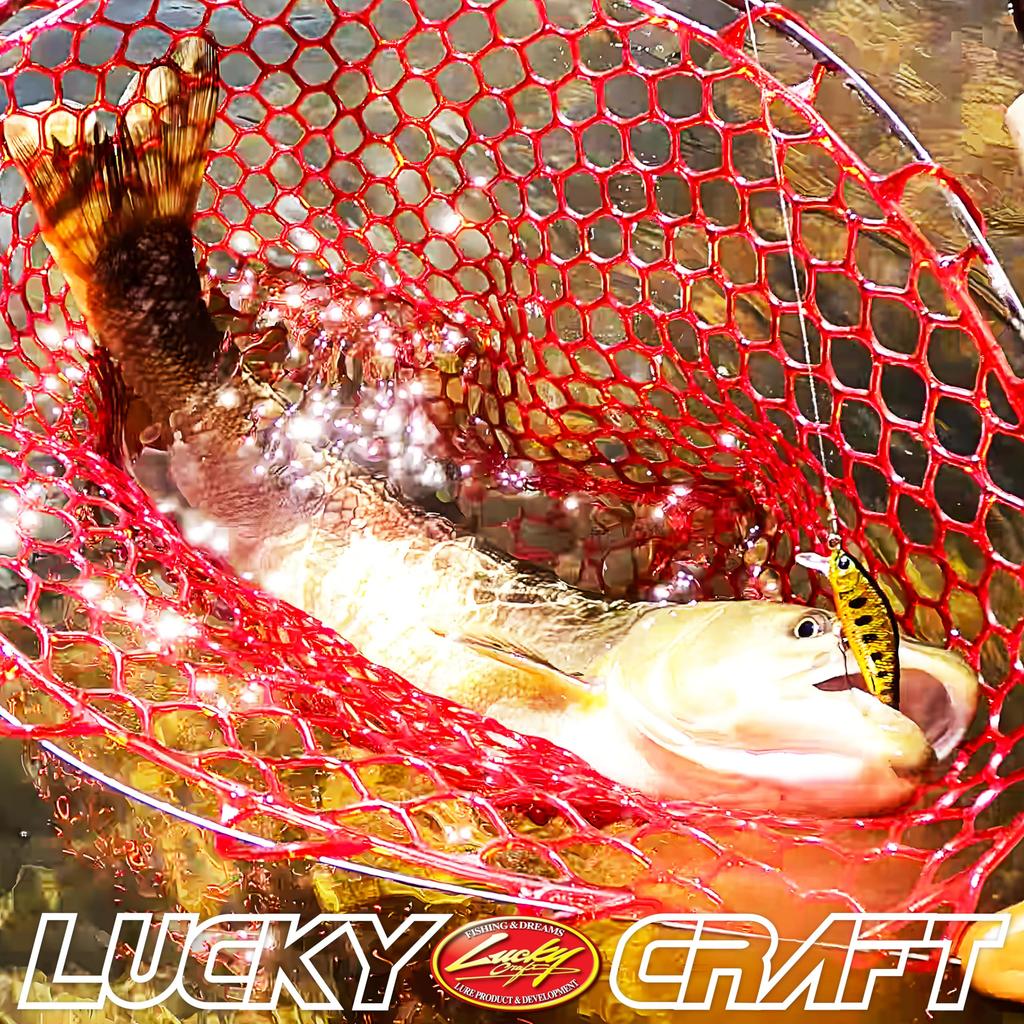 Lucky Craft USA Pointer 50SS Mountain Stream Color Fishing Lure Minnow Trout Rainbow Brown Brook Bass Fishing Tackle Rainbow ~Super Sinking~ - (056