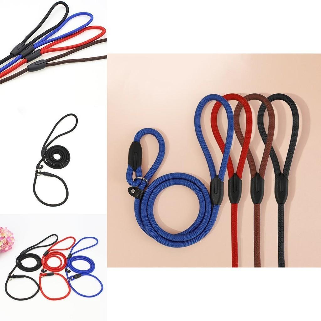 Stylish Dog Leash Fashionable And Sturdy Pet Leash Available In Multiple Vibrant Colors