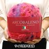 SKIYARN Yarn Color Autumn/Winter "Arcobaleno 402"