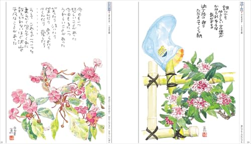 Flower Poetry and Painting Collection" Best Selection: Just One Thing