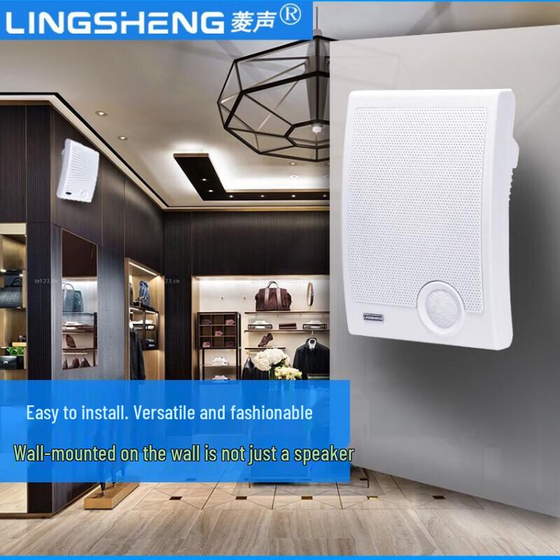 Lingsheng WS-570 Wall-Mounted PA Speaker CN Plug (adapter Included)