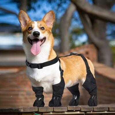 Dog Suspender Boots Connected Dog Rain Shoes Waterproof Doggy Booties Adjustable Dog Paw Protectors for Outdoor Walking