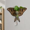 Vase Hydroponic Planter Shelf Home Ornaments Wall Decoration Wall Mounted Planter  Garden Decor