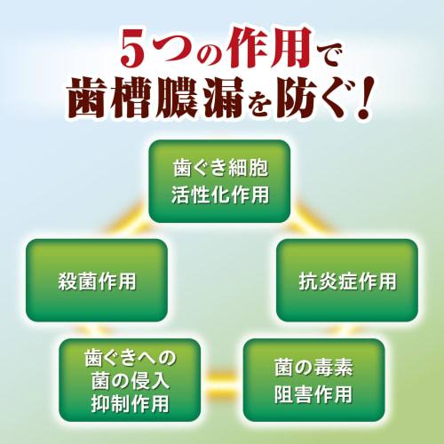 Fresh Leaf (Shoyo) Trial Size Medicinal Toothpaste to Prevent Periodontal Disease, Japanese and Chinese Herbal Flavor, 40g