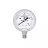 304 Stainless Steel Shockproof Pressure Gauge, 0-1.6MPa