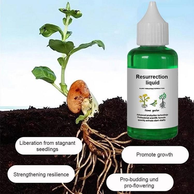 Pflanzennährlösung Konzentrierter Wachstumsdünger für Blumen Bäume Grünpflanzen Bewurzelungsbooster Flüssigkeit