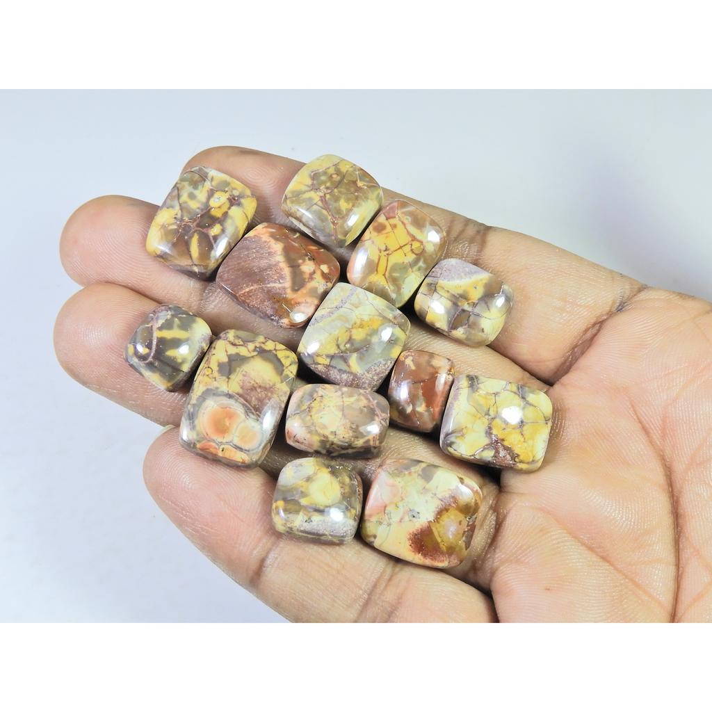 123Cts. Natural Bird Eye Jasper Octagon Cabochon Loose Gemstone 13Pcs Lot C-1915