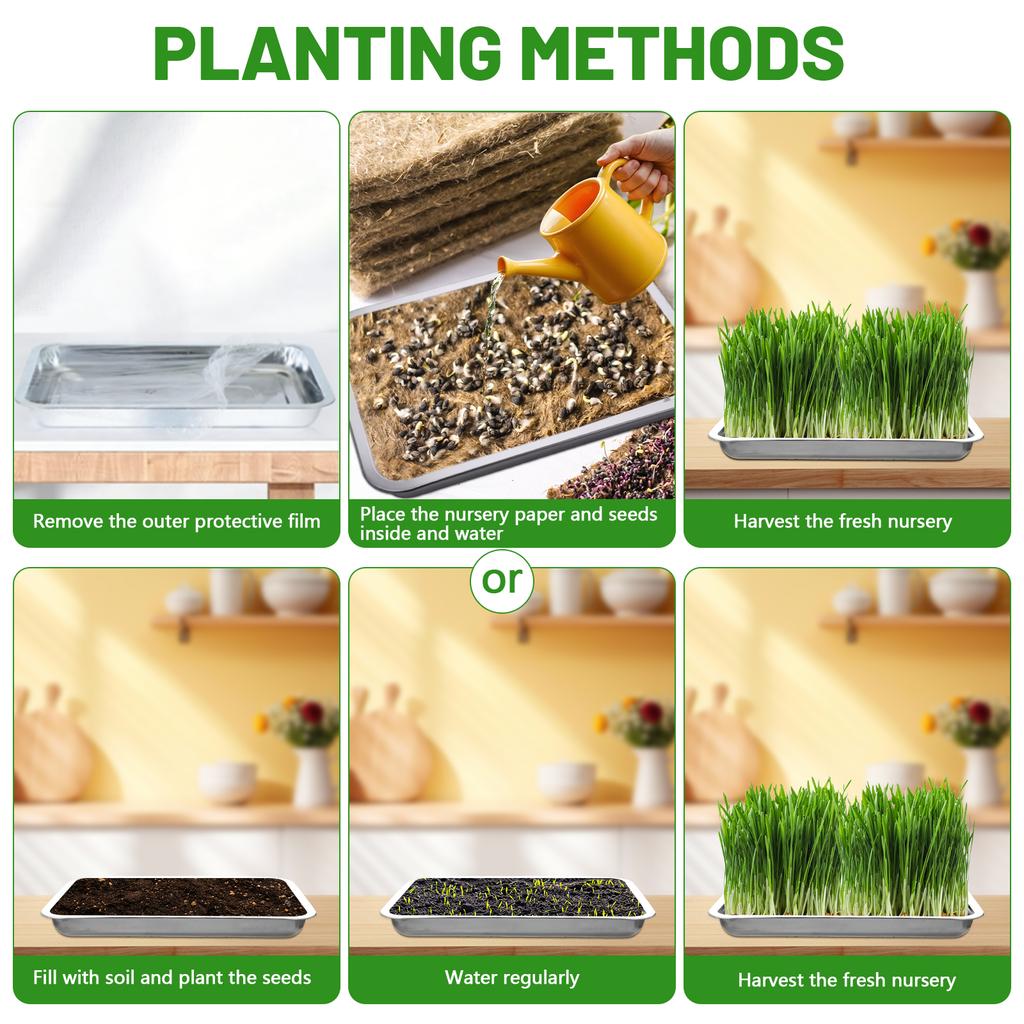 5 Pcs Stainless Steel Seed Trays Reusable Seedling Starter Growing Trays Rectangular Plant Sprouting Trays Propagator For Seed S
