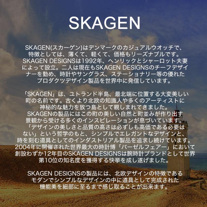 Up 5300 yen off 25 SKAGEN watch brand ladies analog simple mesh belt women light lightweight thin slim work business compact small petite wife mother