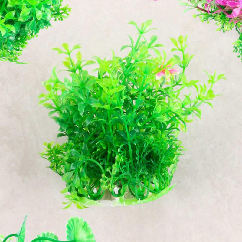 [Domácí mazlíčci] Vodní rostliny do akvária M