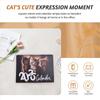 2025+ 2025 Calendar Cats Monthly Wall Calendar, Family Planner Calendar Organizer with Funny Fat Cats Images, for Cats Lovers