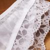 Panties Crotch Opening Low Waist Nylon Hollow Lace See-through Thong for Valentine's Day