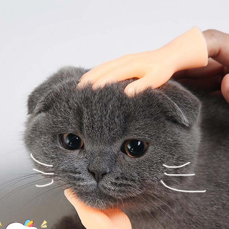 cat hand toy
