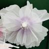 Silk Filigree Net Flower Simulation - Decorative Dried Flower Display for Floor-to-Ceiling Windows