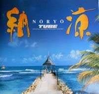 

CD TUBE - Noryo SRCL2418 Sony Records 1992 Japan Japanese Pop/Rock Used