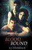 The Blood Bound : 1 Book