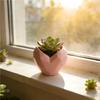 Small Capacity Love Flower Pot Gardening Supplies Plant Container  Indoor Decor