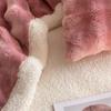 Double Layer Thick Fleece Blanket Queen Warm Imitation Lambswool Throw Blankets for Bed Sofa Autumn Winter Soft Plush Blanket