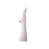Creamy Line Stockings (Cream White)