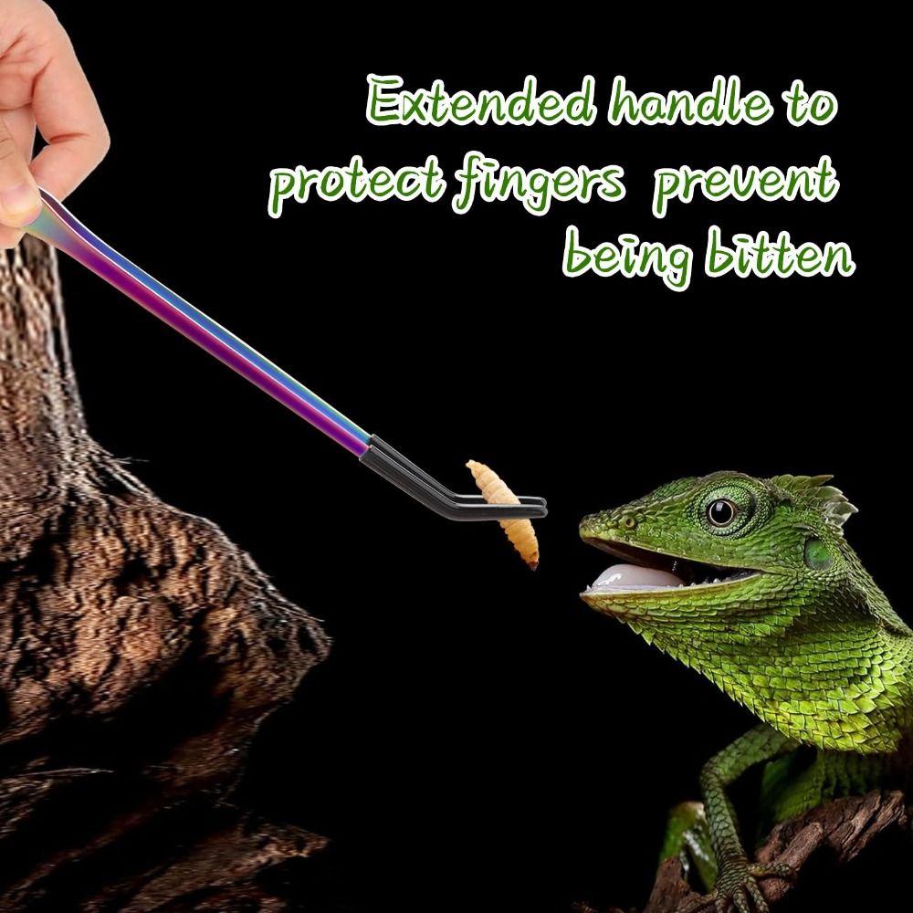 2PCS Stainless Steel Reptile Feeding Tongs Feeder Tools  Bearded Dragons Lizards