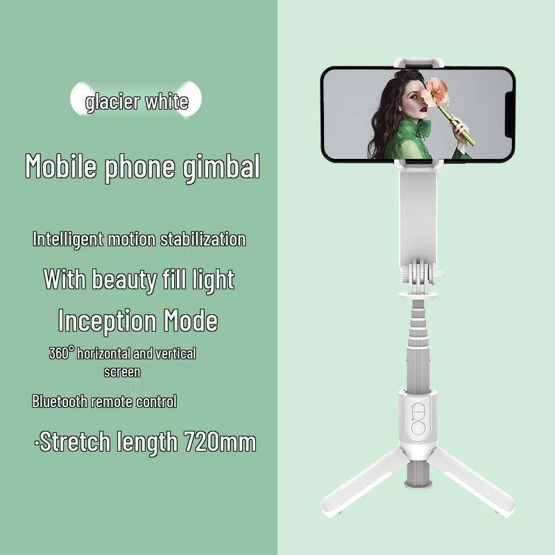 

L09 Bluetooth Selfie Stick: Handheld Stabilizer with Fill Light, Anti-Shake Vlog Gimbal, Single-Axis Mini Steady Cam